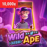 Giấy phép và quy định 66club game